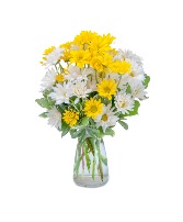 Dazed Daisies Arrangement