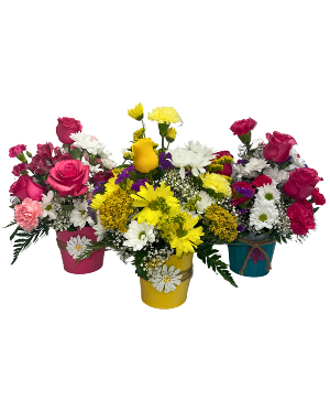 Daisies in A keepsake Tin 