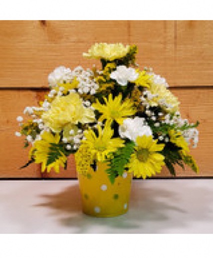 Dazzling POT(Pot color May varies  Fresh flowers