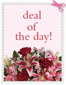 DEAL OF THE DAY 