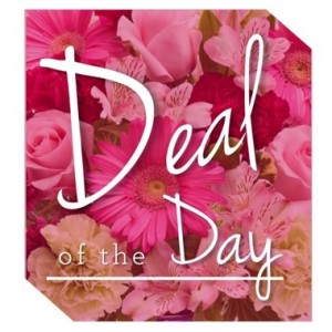 Deal of the Day  