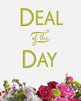 DEAL OF THE DAY 
