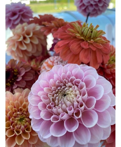 Summer Mix Deal of the day Designer's Choice