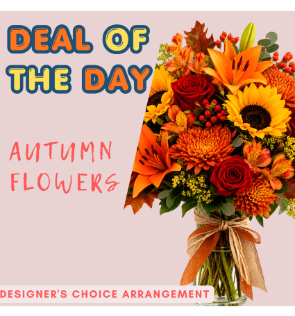 DEAL OF THE DAY Arrangement