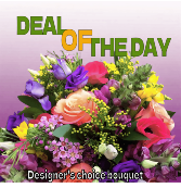 Deal of the Day Designer's Choice