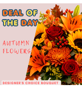 Deal of the Day Designer's Choice