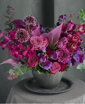 Craving Purple  