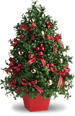Deck the Halls Tree  