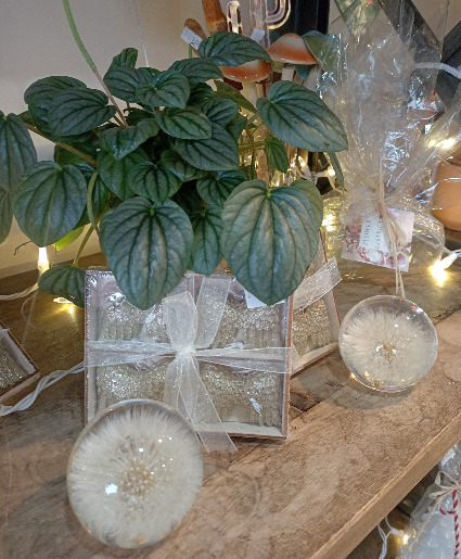 "Make a Wish" Dandelion Crystal Ball 