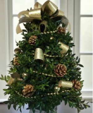 Golden Elegance Fresh Boxwood Tree( Gold Ribbon ) Can be shipped local or UPS Starting 11/30/26