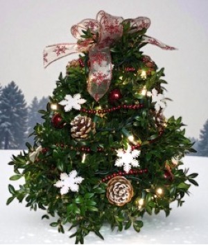 Decorated Boxwood Tree (Snowflake) Can be shipped local or UPS Starting 11/24/25