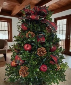 Traditional Plaid Fresh Boxwood Tree( Red Apple ) Can be shipped local or UPS Starting 11/30/26