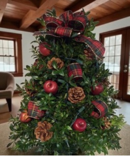 Traditional Plaid Fresh Boxwood Tree( Red Apple ) Can be shipped local or UPS Starting 11/30/26