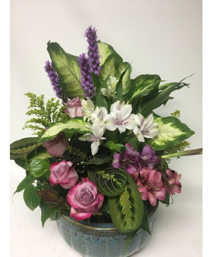 Decorated Dish Garden 