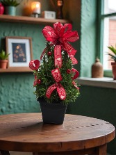 Decorated Rosemary Tree 