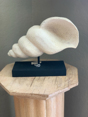 Decorative Shell Large Spindle Shell