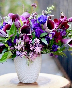 Deep Berries  