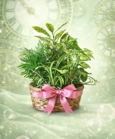 Defying Expectations Green Plant Basket