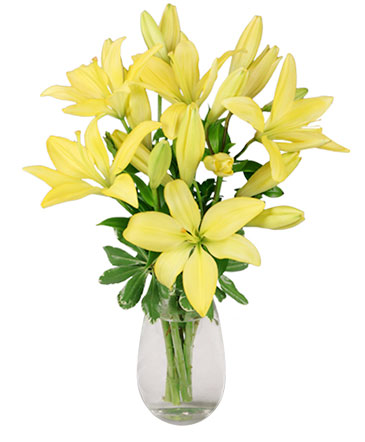 DEL SOL Lily Bouquet in Weatherford, OK | The Flower Box Florist