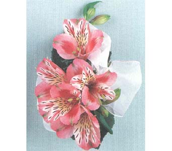 Delicate Alstroemeria Corsage Corsage