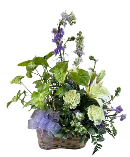 Delicate Sentiments 