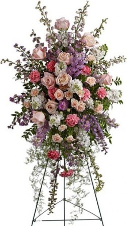 Delicate Sympathy 