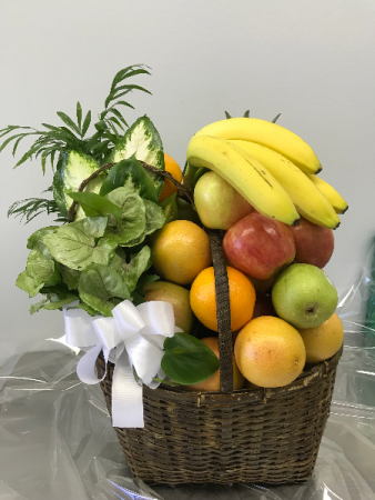 Delicious Fruit With A Plant 