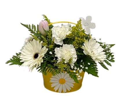 Delightful Daisies 