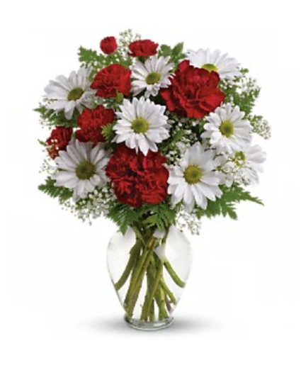 Delightful Daisies and Carnations 