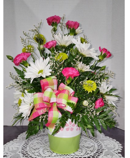 Delightful Daisy spring