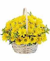 Delightful Smiles Basket of Daisies