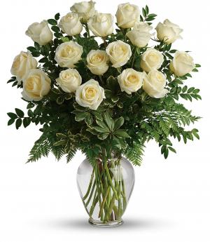 Joy of Roses TRS11-1