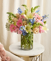 Delphinium Meadow 225255 