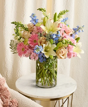 Delphinium Meadow 225255 