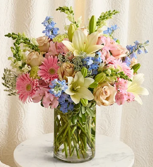 Delphinium Meadow 