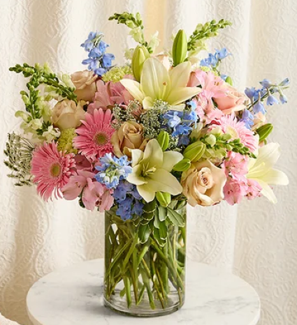 Delphinium Meadow 