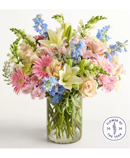 Delphinium Meadow 