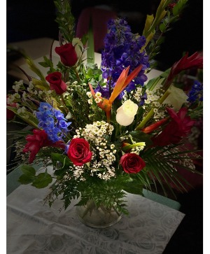 Delphinium Paradise All Occasion