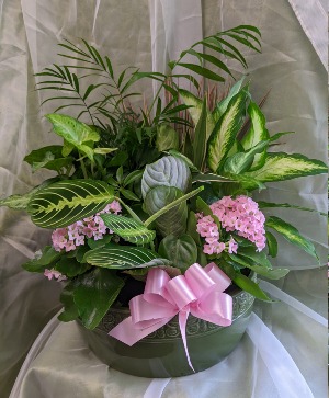 Deluxe Dish Garden 