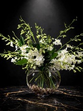 Deluxe white Dendrobium orchids 