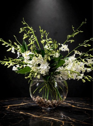 Deluxe white Dendrobium orchids 
