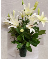Deluxe White LA Lily  Bouquet