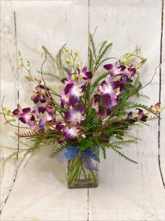 Dendrobium Orchid Arrangement
