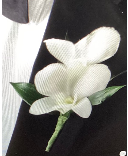 Dendrobium Orchid Boutnniere Boutonniee