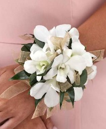 dendrobium orchid corsage wristlet dendrobium orchids