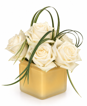 Desert Ivory 
