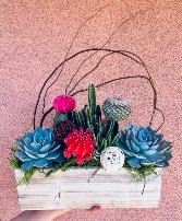 Desert Jewel  Succulent Garden