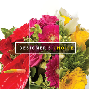 Designer Choice 