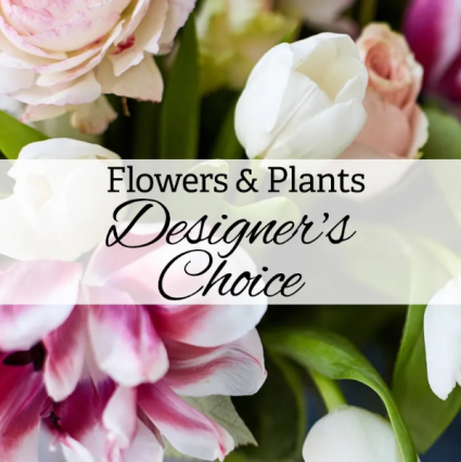 Designer Choice 