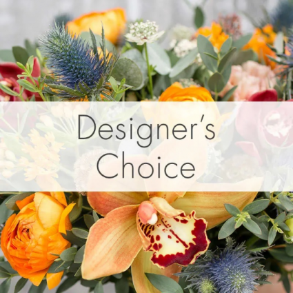Designer Choice 